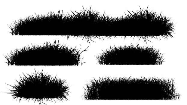 3d illustration rendering grass silhouette include clipping path png