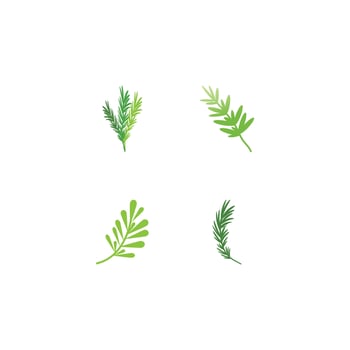 Rosemary  logo vector illustration template business element and symbol design