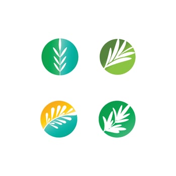Rosemary  logo vector illustration template business element and symbol design