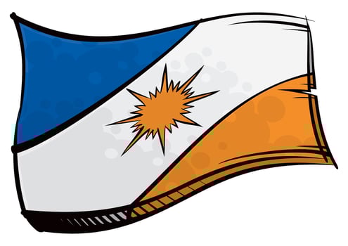 Painted Tocantins flag waving in wind vector