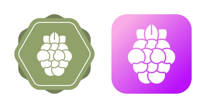 Raspberry Vector Icon
