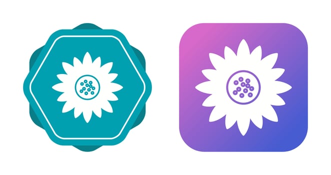 Sunflower Vector Icon