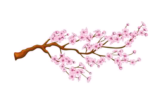 Cartoon cherry bloom, chinese new lunar year item vector