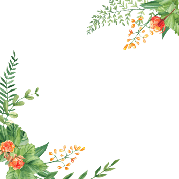Watercolor square forest frame, border with fern, cloudberry, green branches and yellow wildflowers. Hand drawn botanical illustration. png