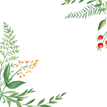 Watercolor square forest frame, border with fern, green branches, red and yellow berries and wildflowers. Hand drawn botanical illustration.  For invitation card, birthday, anniversary, baby shower. png