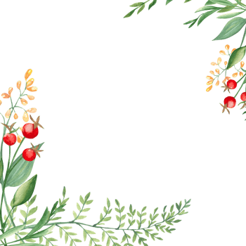 Watercolor square forest frame, border with fern, green branches, red and yellow berries and wildflowers. Hand drawn botanical illustration. For logo design, as invitation card for birthday png