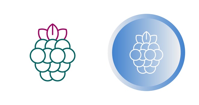 Raspberry Vector Icon