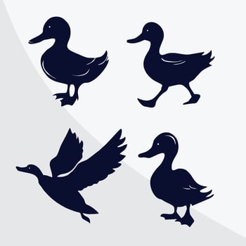 Vector drawing of a set of ducks silhouette