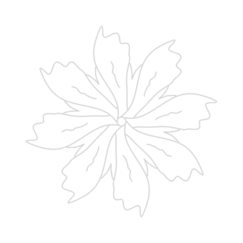 Dashed Flower element png