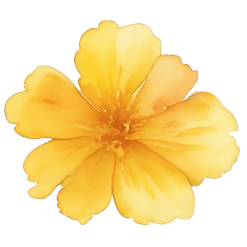 Yellow flower watercolor png