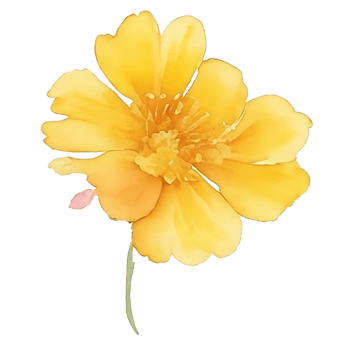 Yellow flower watercolor AI Generative png
