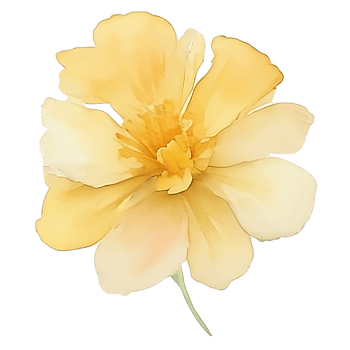 Yellow flower watercolor AI Generative png