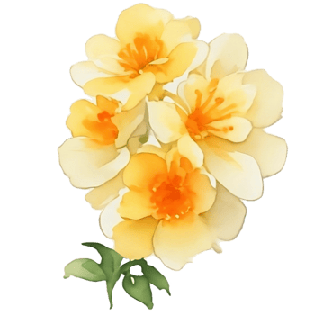 Yellow flower watercolor png