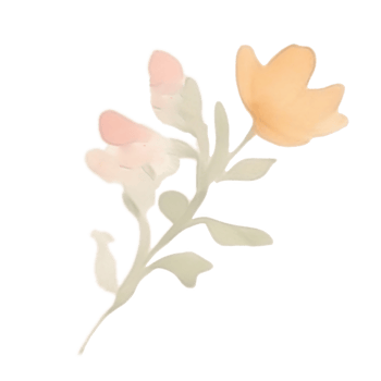 Peach roses bouquet clip art png