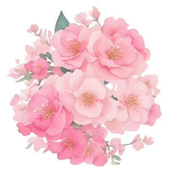 Pink cherry blossom clip art png