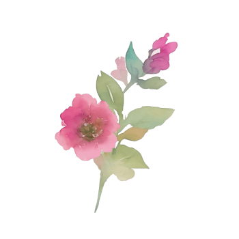 Pink flower watercolor clip art png