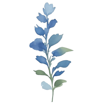 Blue flower clip art png