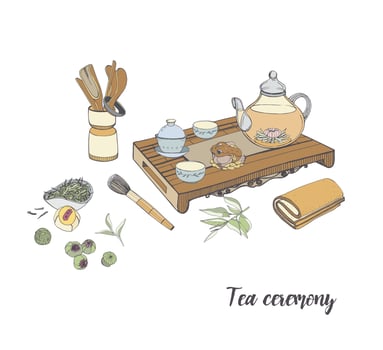 Tea ceremony with various traditional elements. Colorful hand drawn illustration. vector