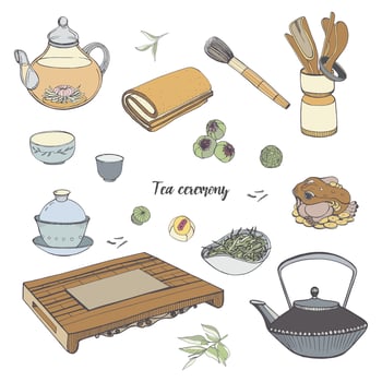 Set tea ceremony with various traditional tools. Teapot, bowls, gaiwan. Colorful hand drawn illustration. vector