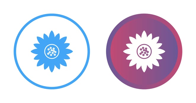 Sunflower Vector Icon