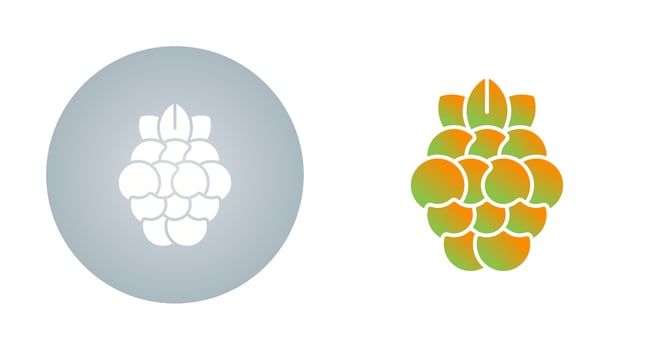 Raspberry Vector Icon