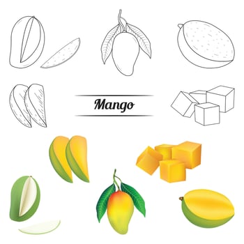 Realistic mango set with leaves vector
