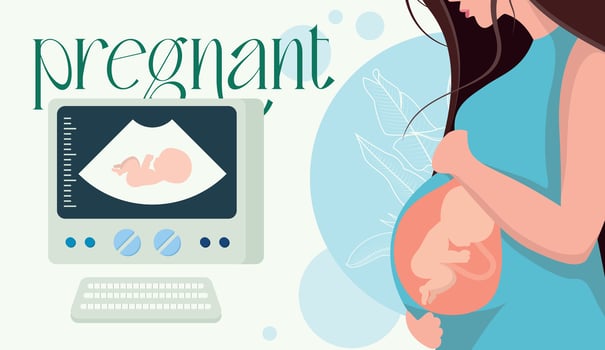 pregnant girl with Ultrasonography abdominal examination USG vector