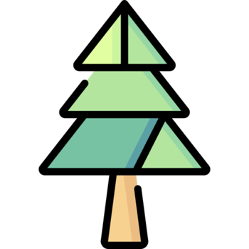 pine tree illustration design png
