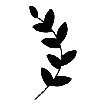 flowers decoration hand paint illustration PNG pro