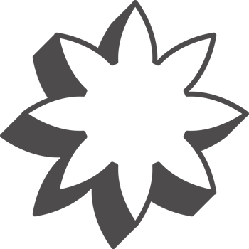 Abstract geometric element. Neobrutalism graphic shape. Minimal groovy Y2k retro sticker. Retro label. Simple flower png
