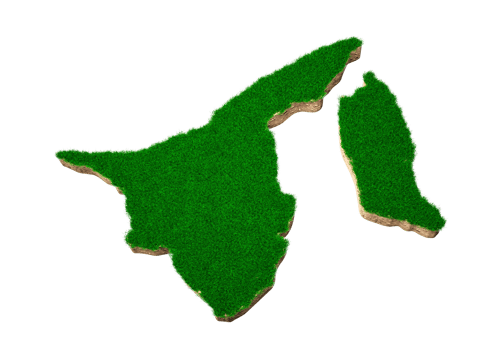 Brunei Map soil land geology cross section with green grass and Rock ground texture 3d illustration png