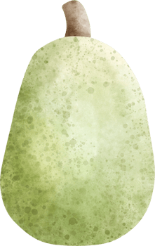Watercolor Jackfruit illustration png