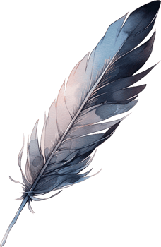 Watercolor beautiful black feather isolated on white background png