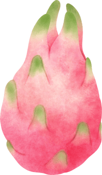 Watercolor Dragonfruit illustration png