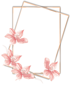 Tropical Leaves and Flower Watercolor Frame png