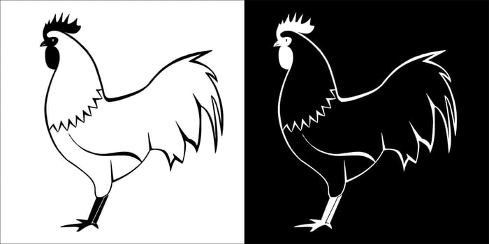 Ilustrasi, vector graphic of cock