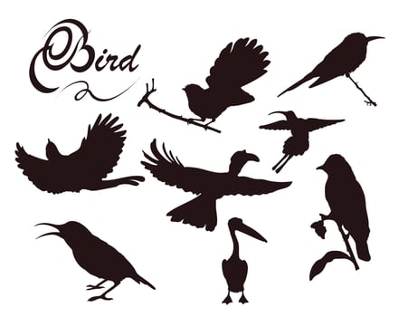Bird silhouettes with many options, Birds flying, On the branch, Bird lovers vector