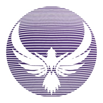 Eagle wings logo vector