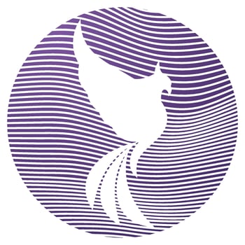 Eagle wings logo vector