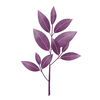 Watercolor Leaves Clipart png