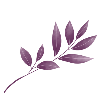 Watercolor Leaves Clipart png