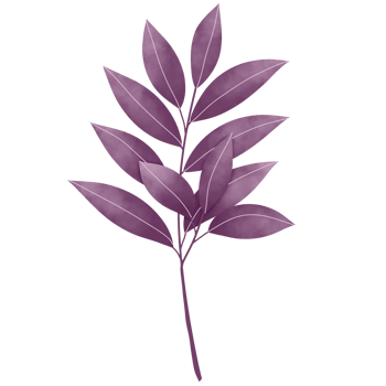 Watercolor Leaves Clipart png
