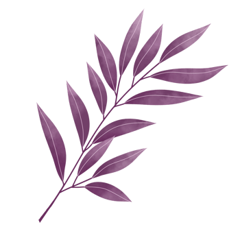 Watercolor Leaves Clipart png