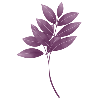 Watercolor Leaves Clipart png