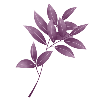 Watercolor Leaves Clipart png