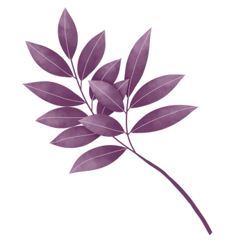 Watercolor Leaves Clipart png