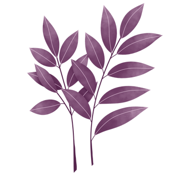 Watercolor Leaves Clipart png