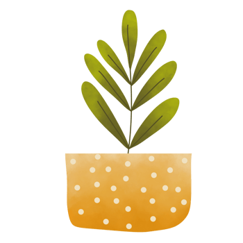 Cute Indoor Plant png