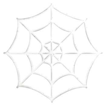 Watercolor Spider Web Illustration png