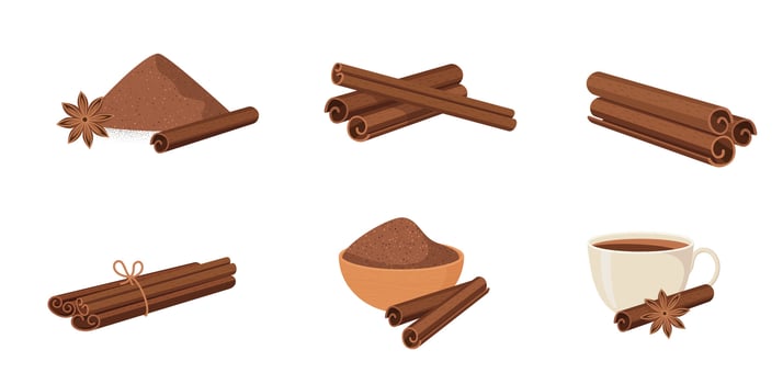 Set of cinnamon sticks with powder and star anise isolated on white background vector illustration